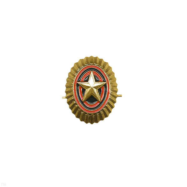 Кокарда мет. РА мал. зол. ТУ 2012 г (37 х 31 мм)