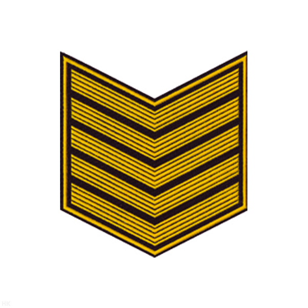 Курсовка пластизол. 5 курс (черн.) галочка (с просветами)