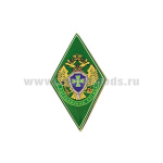Значок мет. Пограничная служба (ромб в виде шеврона, смола, на пимсе)