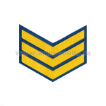 Курсовка пластизол. 3 курс (голуб.)