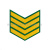 Курсовка пластизол. 4 курс (зел.)