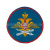 Шеврон вышит. ВВС (210 пр.)
