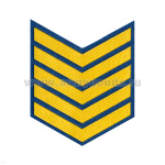 Курсовка пластизол. 5 курс (голуб.)