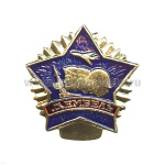 Значок мет. Дембель (син.) звезда