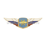 Значок мет. Должностной знак командующего армией и ей равного объединения (ВКС) (№47)