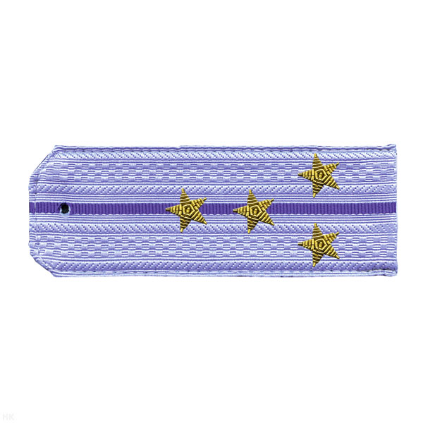 Погоны ФСБ нов/обр голуб. с 1 вас. просв. на рубашку, вышит. канителью (капитан)