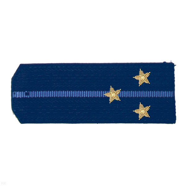 Погоны синие с 1 голуб. просв., вышит. канителью (ст. лейтенант)