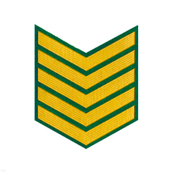 Курсовка пластизол. 5 курс (зел.)