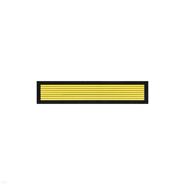 Курсовка пластизол. 1 курс (черн.) горизонт.