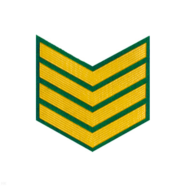 Курсовка пластизол. 4 курс (зел.)