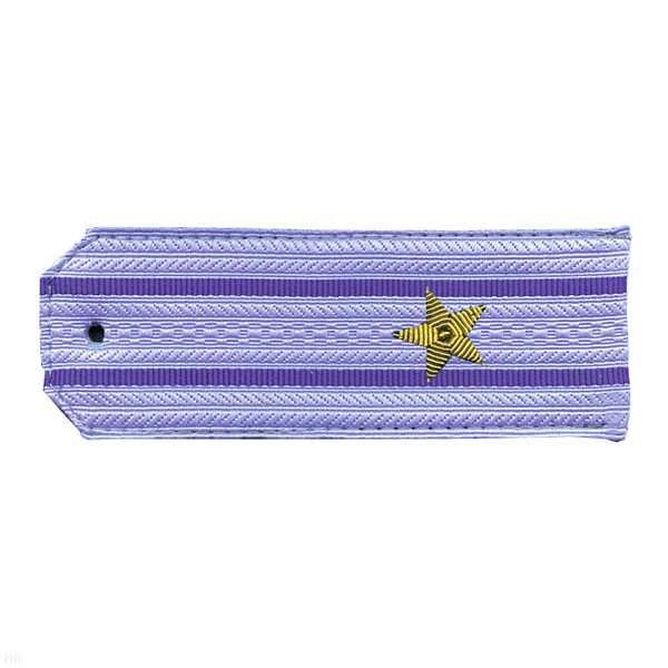 Погоны ФСБ нов/обр голуб. с 2 вас. просв. на рубашку, вышит. канителью (майор)