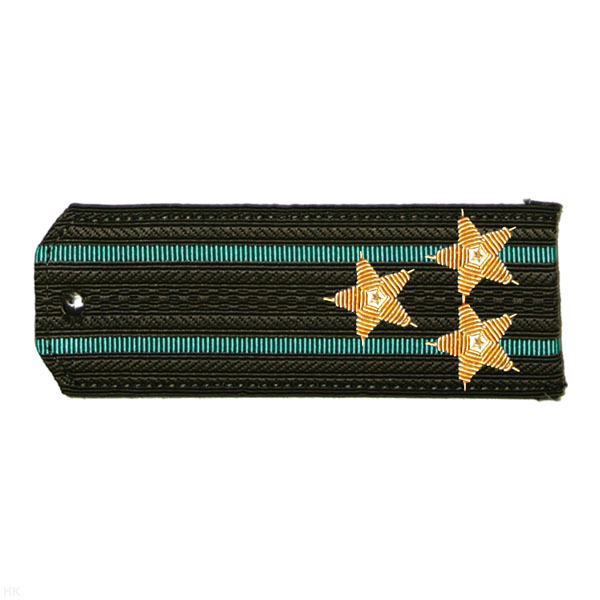 Погоны ПС ст/обр оливк. с 2 зел. просв., вышит. канителью (полковник)