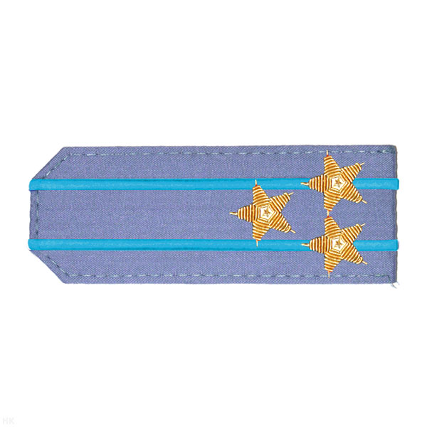 Погоны из рубаш. ткани серо-голуб. с вышит. 2 голуб. просв., вышит. канителью (полковник)