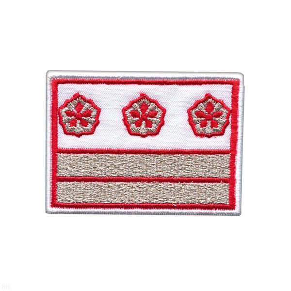 Нагрудный знак вышит. РЖД (белый) 2 галуна 3 звезды