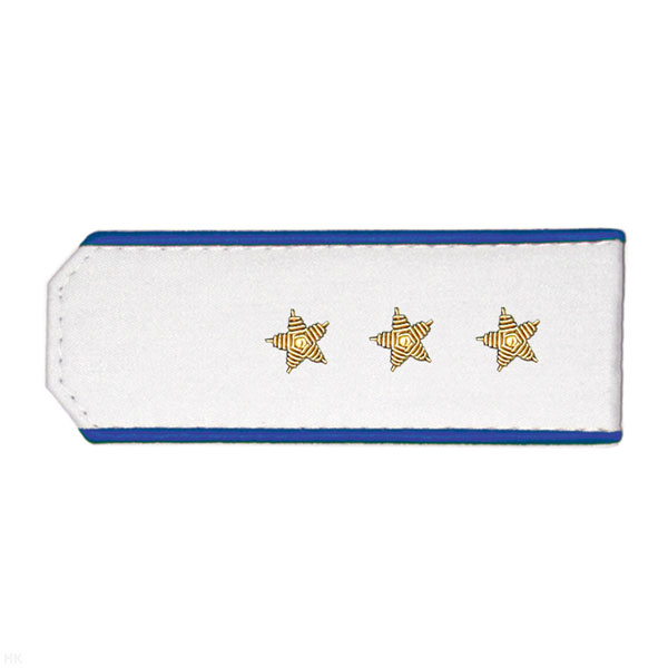 Погоны из рубаш. ткани белые с вышит. вас. кантом, вышит. канителью (ст. прапорщик)