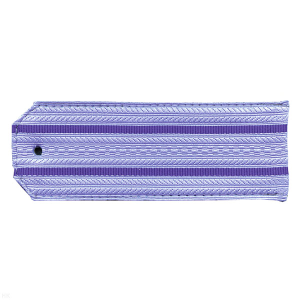 Погоны голуб. 2 вас. пр. (ФСБ нов/обр руб.)