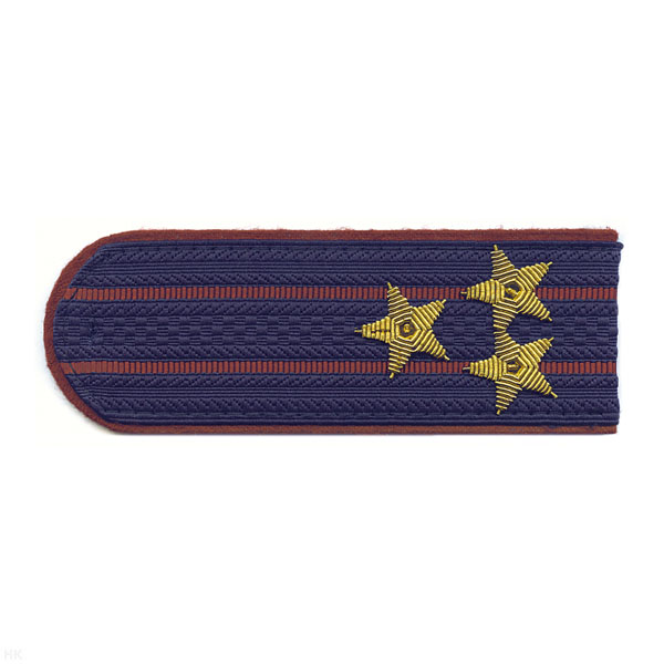 Погоны ФСИН серо-синие с крап. кантом с 2 крап.и просв. на китель, вышит. канителью (полковник)