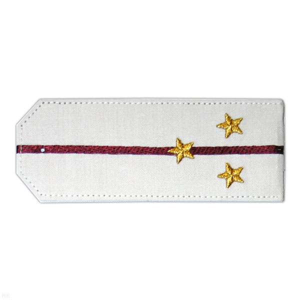 Погоны «машинная вышивка» из рубаш. ткани белые с 1 вышит. крап. просв. с вышит. звездами (ст. лейтенант)