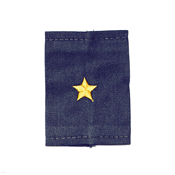 Ф/пог. синие (ГИБДД) вышит. желт. (майор)