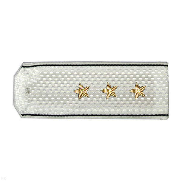 Погоны ВМФ белые с черн. кантом, вышит. канителью (ст. прапорщик)