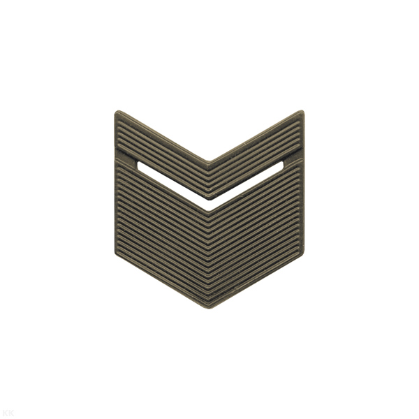 Лычка пласт. ВС Старшина защ.