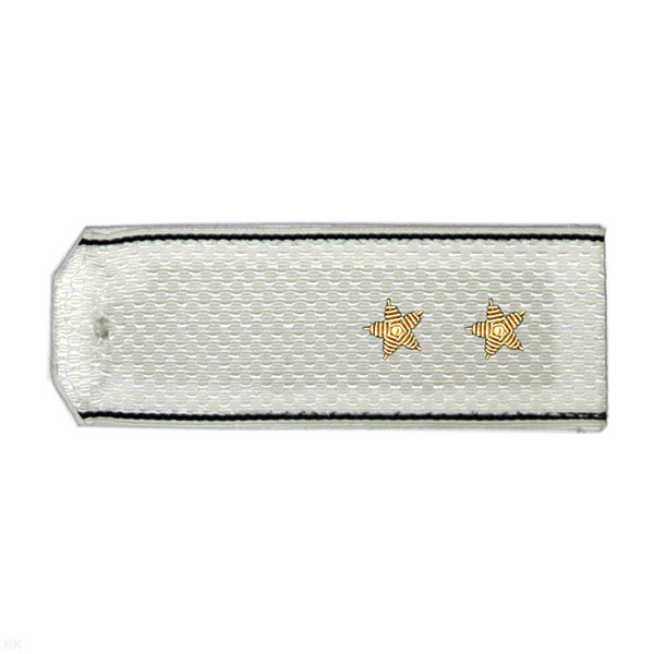 Погоны ВМФ белые с черн. кантом, вышит. канителью (прапорщик)