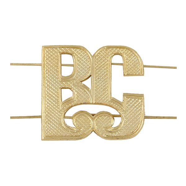 Буквы на погоны мет. ВС зол. (неуст.)