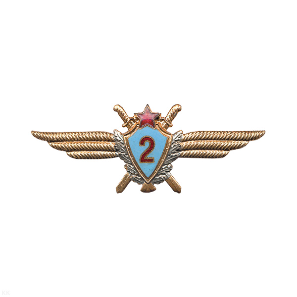 Значок мет. Классность ВВС СССР  2 класс