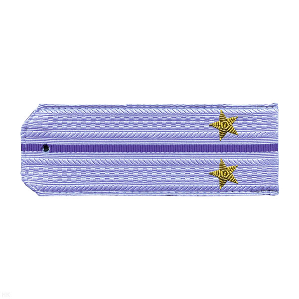 Погоны ФСБ нов/обр голуб. с 1 вас. просв. на рубашку, вышит. канителью (лейтенант)