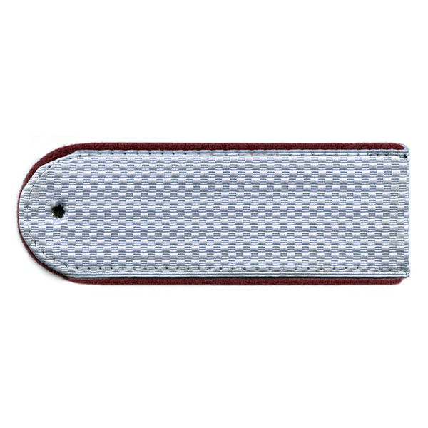 Погоны серые (крап. кант) чист. (ФСИН руб.)