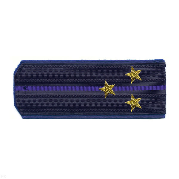 Погоны ФСБ нов/обр иссиня-черн. с вас. кантом с 1 вас. просв. на китель, вышит. канителью (ст. лейтенант)