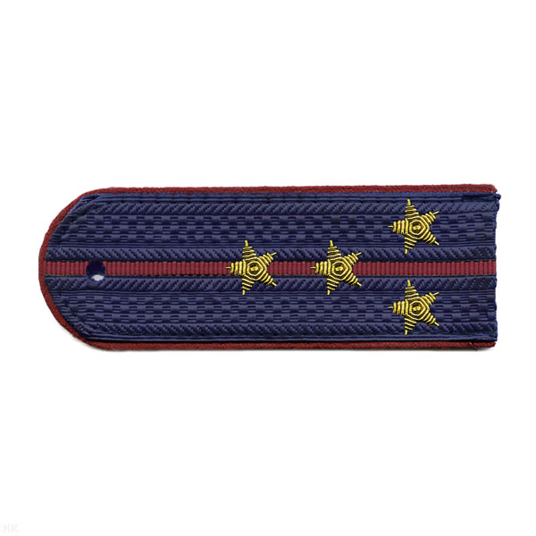 Погоны ФСИН серо-синие с крап. кантом с 1 крап. просв. на китель, вышит. канителью (капитан)