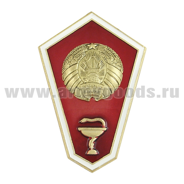 Значок мет. "Гробик" РБ Среднее медицинское образование (латунь, хол.эм.)