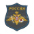 Шеврон вышит. на парад Россия ВДВ (серый фон)