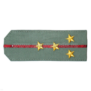 Погоны «машинная вышивка» из рубаш. ткани оливк. с 1 вышит. крап. просв. с вышит. звездами (капитан)