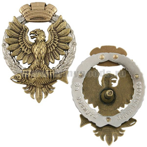 Значок мет. За заслуги перед Елизово