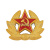 Кокарда пласт. СА рядового состава