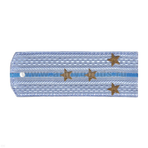 Погоны ВВС голуб. с голуб. просв. (на рубашку) вышит. канителью (капитан)