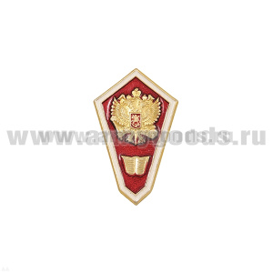 Значок мет. "Гробик" (алюм.) среднее юридическое образование