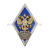 Значок мет. ВВИА им. Жуковского (ромб РФ, орел без щитка) гор.эм.