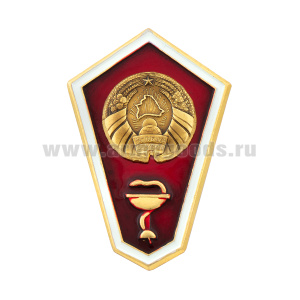 Значок мет. "Гробик" РБ Среднее медицинское образование (латунь, хол.эм. с накладкой) эконом