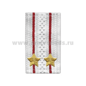 Ф/пог. Полиция белые вышит. (подполковник) приказ № 777 от 17.11.20