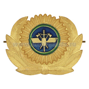 Кокарда мет. Ведомственная охрана ЖДТ России бол