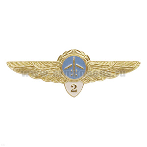 Значок мет. Классность ГВФ: пилот 2 класс