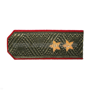 Погоны генерал-лейтенант оливк. с крап. кантом (на китель)