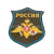 Шеврон вышит. на парад Россия ВДВ (оливковый фон)