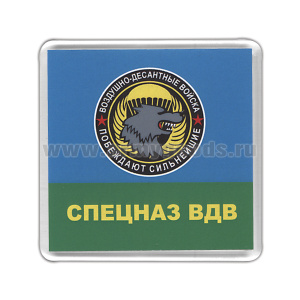 Магнит пластиковый Спецназ ВДВ