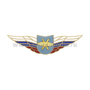 Значок мет. Должностной знак командира учебной части ВКС (№54)