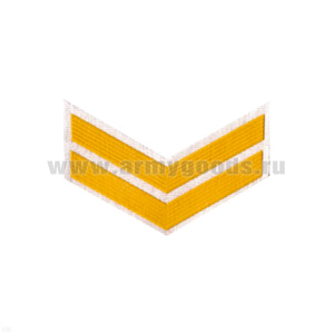 Курсовка пластизол. 2 курс (бел.)