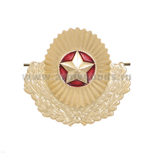 Кокарда мет. РБ ВС бол. зол.